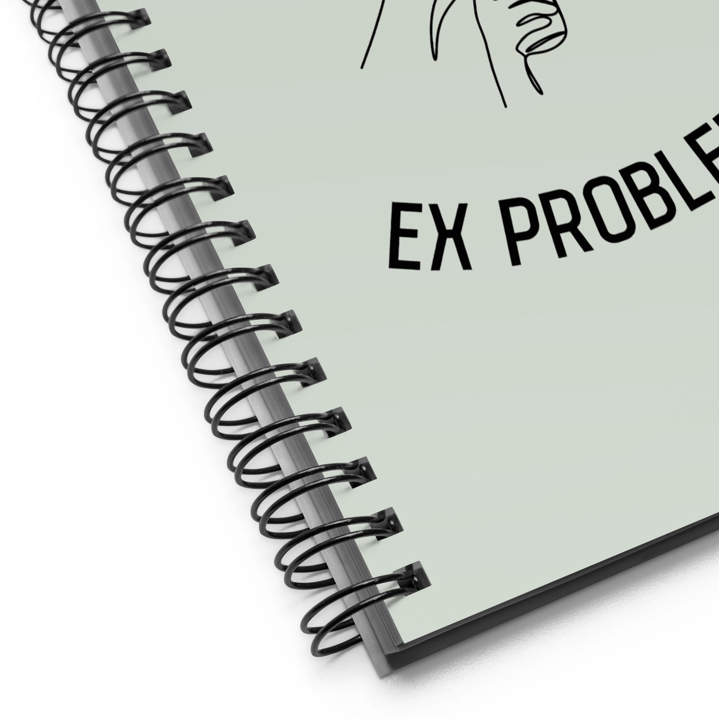 Ex wife, ex problems!