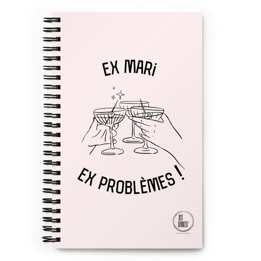 Ex mari, ex problèmes !